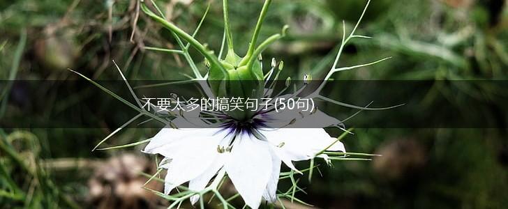 不要太多的搞笑句子(50句),第1张