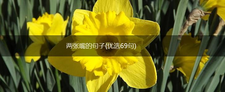 两张嘴的句子(优选69句),第1张