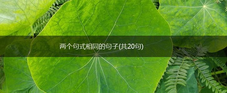 两个句式相同的句子(共20句),第1张