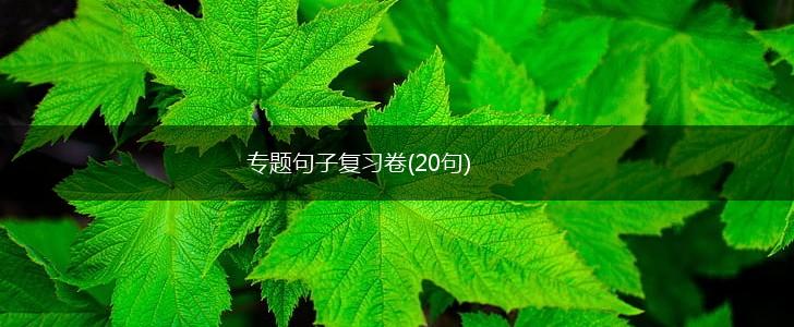 专题句子复习卷(20句),第1张