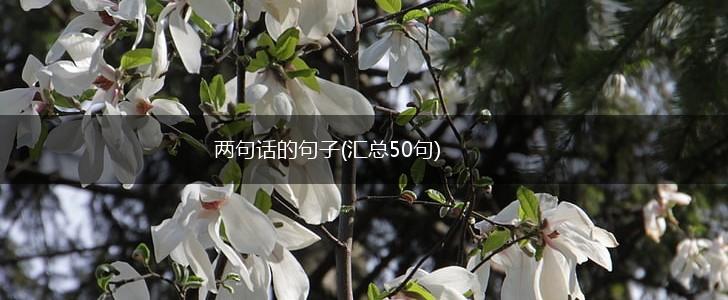 两句话的句子(汇总50句),第1张