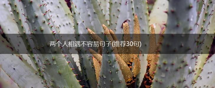 两个人相遇不容易句子(推荐30句),第1张