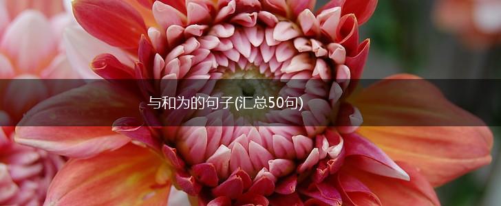 与和为的句子(汇总50句),第1张