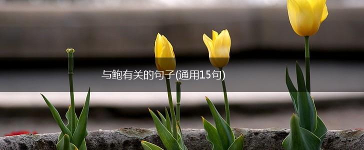 与鲍有关的句子(通用15句),第1张