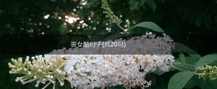 丧女酷句子(共20句),第1张