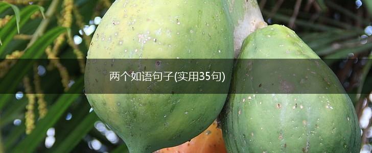 两个如语句子(实用35句),第1张