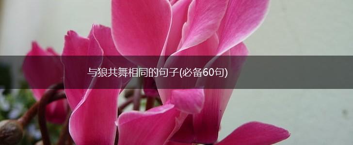 与狼共舞相同的句子(必备60句),第1张