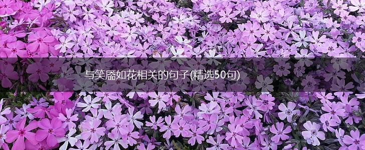 与笑靥如花相关的句子(精选50句),第1张