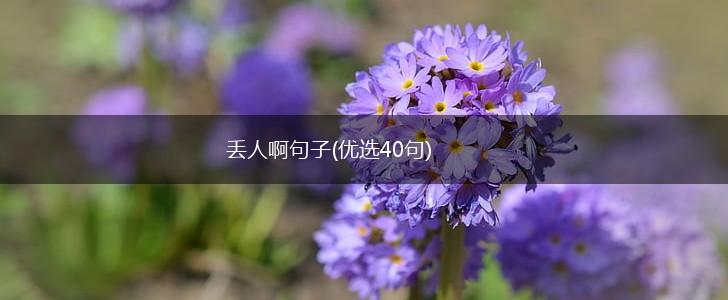 丢人啊句子(优选40句),第1张
