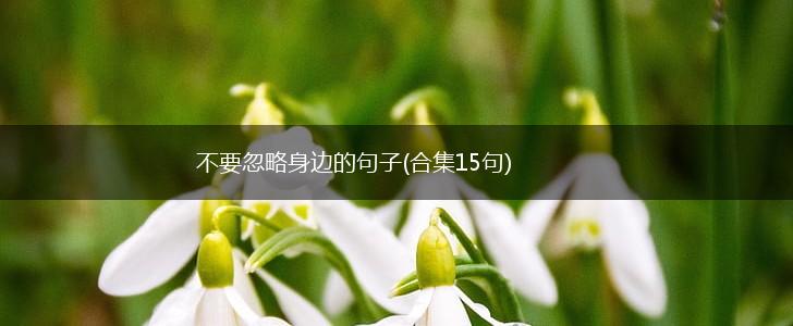 不要忽略身边的句子(合集15句),第1张