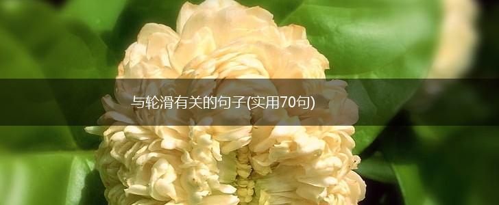与轮滑有关的句子(实用70句),第1张