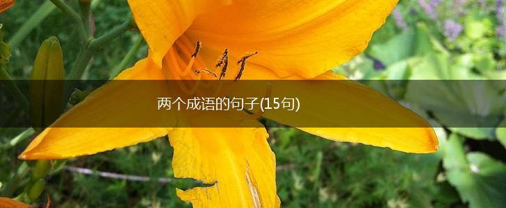 两个成语的句子(15句),第1张