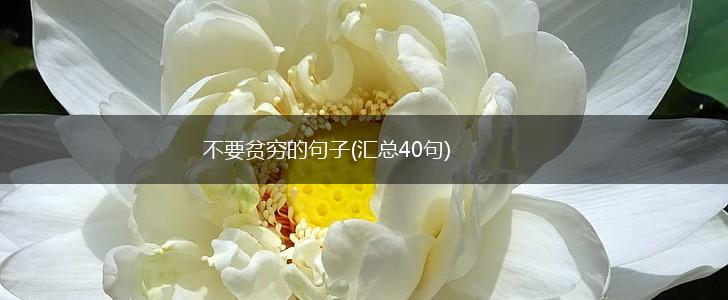 不要贫穷的句子(汇总40句),第1张