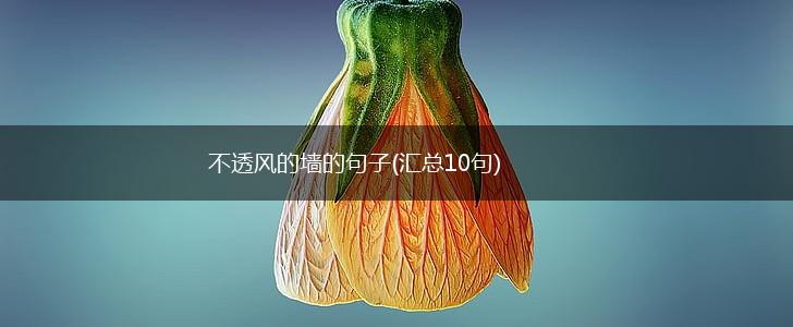 不透风的墙的句子(汇总10句),第1张