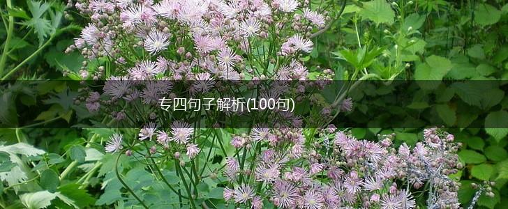 专四句子解析(100句),第1张