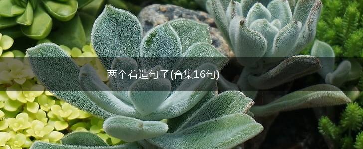 两个着造句子(合集16句),第1张