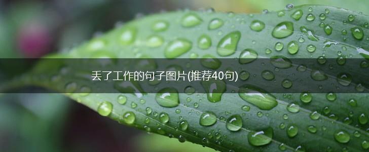 丢了工作的句子图片(推荐40句),第1张