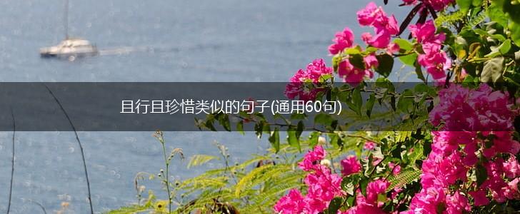 且行且珍惜类似的句子(通用60句),第1张