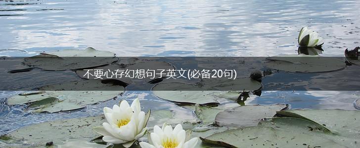 不要心存幻想句子英文(必备20句),第1张
