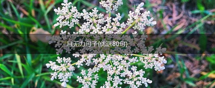 且无力句子(优选80句),第1张