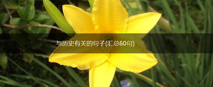 与历史有关的句子(汇总60句),第1张