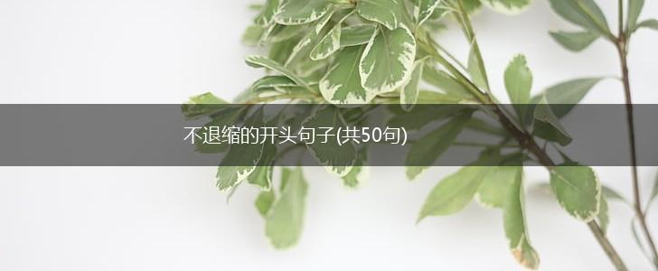 不退缩的开头句子(共50句),第1张