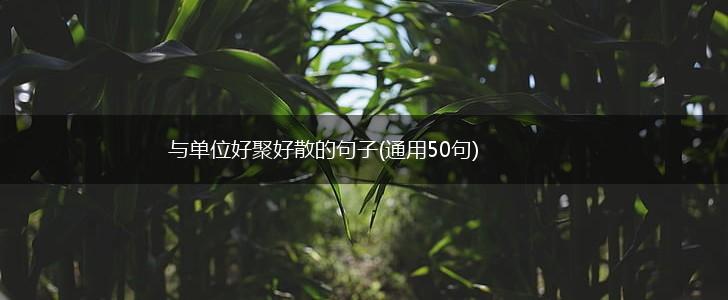 与单位好聚好散的句子(通用50句),第1张