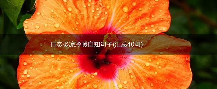 世态炎凉冷暖自知句子(汇总40句),第1张