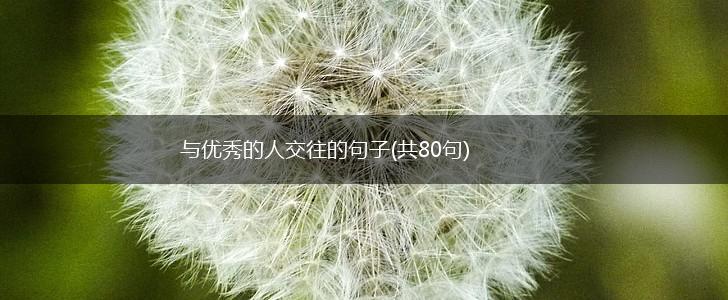 与优秀的人交往的句子(共80句),第1张