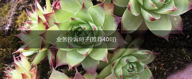 业务投诉句子(推荐40句),第1张