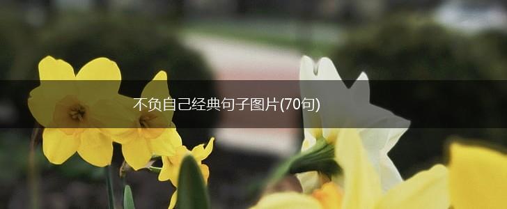 不负自己经典句子图片(70句),第1张