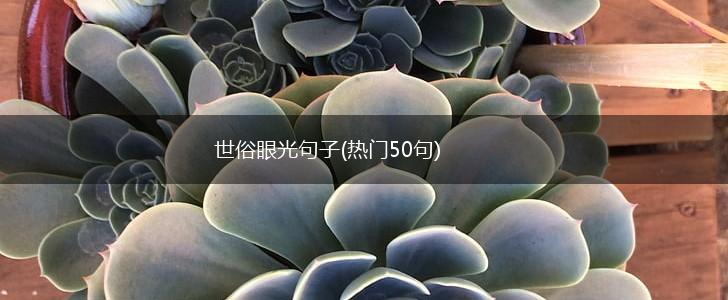 世俗眼光句子(热门50句),第1张