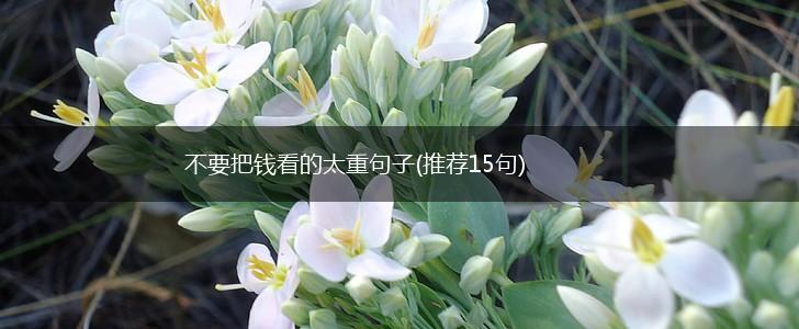 不要把钱看的太重句子(推荐15句),第1张