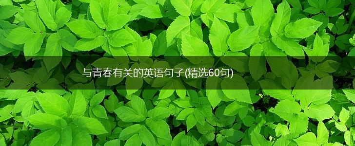与青春有关的英语句子(精选60句),第1张
