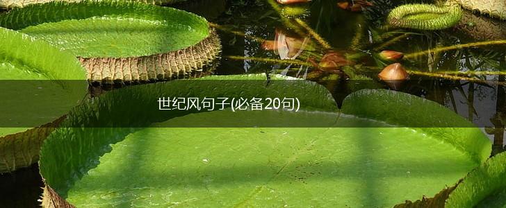 世纪风句子(必备20句),第1张