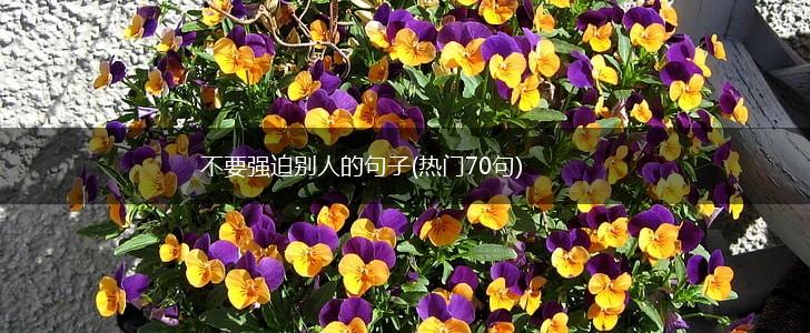 不要强迫别人的句子(热门70句),第1张