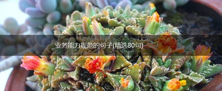 业务能力规范的句子(精选80句),第1张