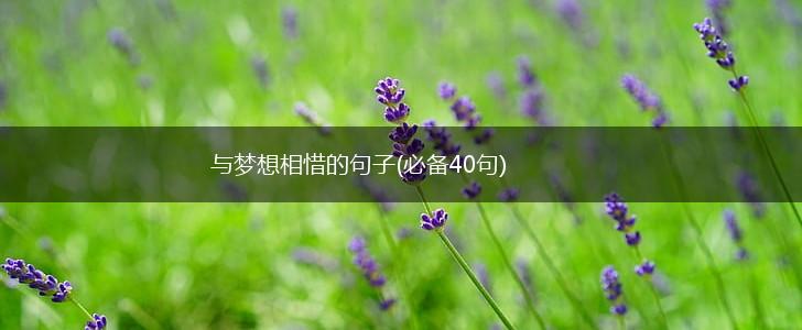 与梦想相惜的句子(必备40句),第1张
