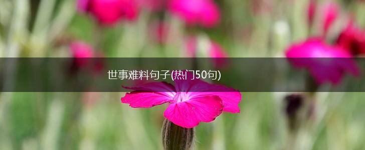 世事难料句子(热门50句),第1张