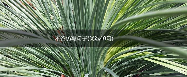 不论仿写句子(优选40句),第1张