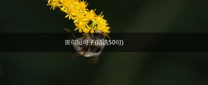 丧句短句子(精选50句),第1张