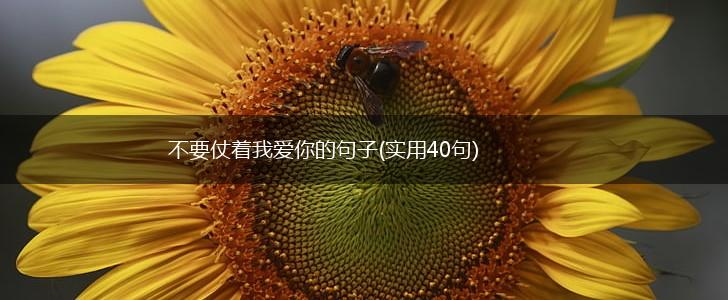 不要仗着我爱你的句子(实用40句),第1张