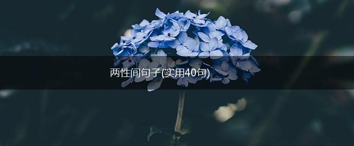 两性间句子(实用40句),第1张
