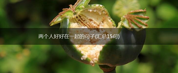 两个人好好在一起的句子(汇总15句),第1张