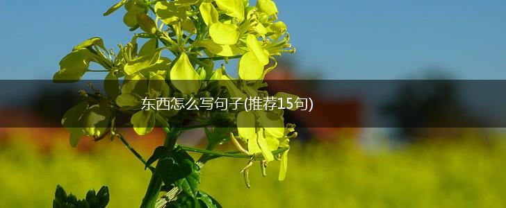 东西怎么写句子(推荐15句),第1张