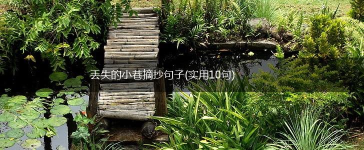 丢失的小巷摘抄句子(实用10句),第1张