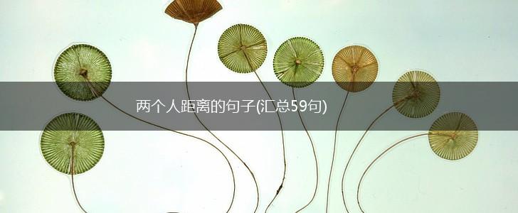 两个人距离的句子(汇总59句),第1张