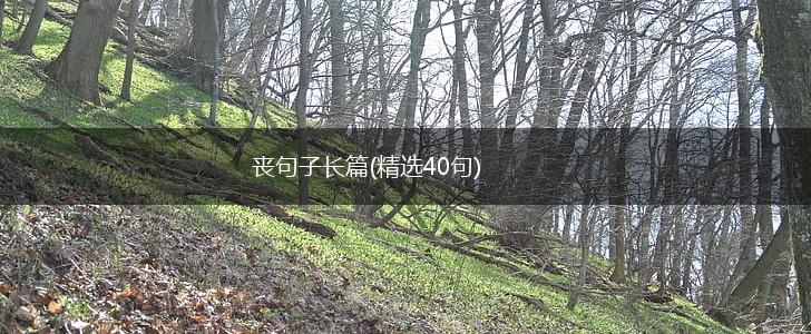 丧句子长篇(精选40句),第1张