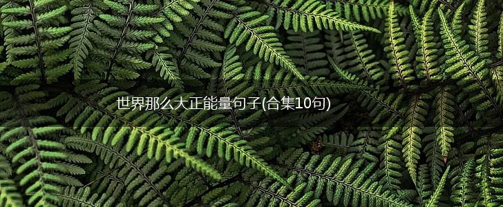 世界那么大正能量句子(合集10句),第1张