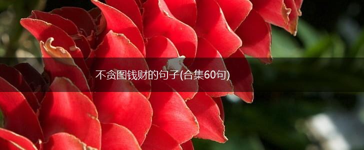 不贪图钱财的句子(合集60句),第1张